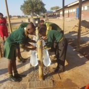 Assessment of the Status of Water, Sanitation and Hygiene (WASH) Services at Primary Schools in uMfolozi Local Municipality, Kwa-Zulu Natal, South Africa
