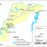Les inégalités environnementales d’accès à l’eau en espace rural : défauts de gouvernance de la ressource ou problématique de justice spatiale ? Le cas de l’axe Gorom Lampsar (delta du fleuve Sénégal)