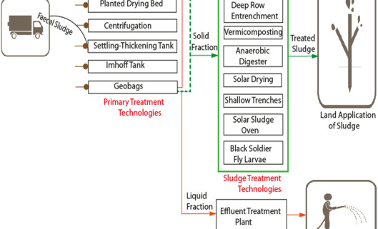 Technology Options for Faecal Sludge Management in Developing Countries: Benefits and Revenue from Reuse