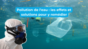 LES DEFIS DE LA POLLUTION DE L'EAU, UNE MENACE POUR LA SANTE PUBLIQUE : ATOUTS ET DEFAUTS DES LOIS ET POLITIQUES DE L'EAU AU SENEGAL