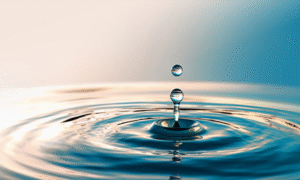 GOUVERNANCE « NON SOUVERAINE » ET RÉGULATION DES SERVICES DE L'EAU À MONROVIA (LIBERIA)