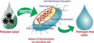 Exploring emerging water treatment technologies for the removal of microbial pathogens