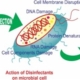 Exploring emerging water treatment technologies for the removal of microbial pathogens