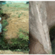 État d’assainissement des eaux usées et excréta dans le bassin versant d’Odza en zone périurbaine de Yaoundé et impact sur l’environnement urbain