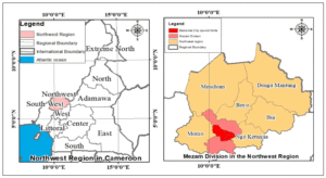 Catchment management and the sustainability of urban water supply. Evidence from Bamenda, Cameroon