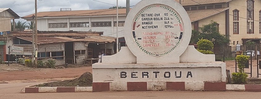 RISQUES HYDRO-SANITAIRES LIES A LA MULTIPLICATION DES SOURCES D’APPROVISIONNEMENT EN EAU DANS LES MENAGES A BERTOUA (EST-Cameroun)