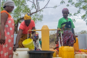 LA RARETE DE L’EAU EAU DANS LE MAYO- TSANAGA: IMPACTS SOCIO-ECONOMIQUES ET SANITAIRES
