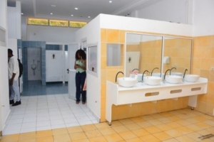 Les Etats d’Afrique Subsaharienne à l’épreuve des toilettes publiques : entre crise d’accès, crise d’assainissement, risques et solutions