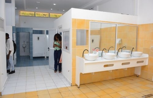 Les Etats d’Afrique Subsaharienne à l’épreuve des toilettes publiques : entre crise d’accès, crise d’assainissement, risques et solutions