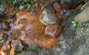 Qualité physico-chimique et bactériologique des eaux souterraines et risques sanitaires dans quelques quartiers de Yaoundé VII, Cameroun