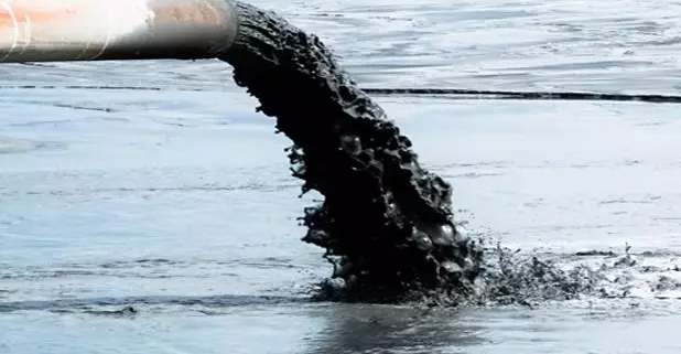 Environmental impact of wastewater discharges from FERMENCAM