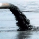 Environmental impact of wastewater discharges from FERMENCAM